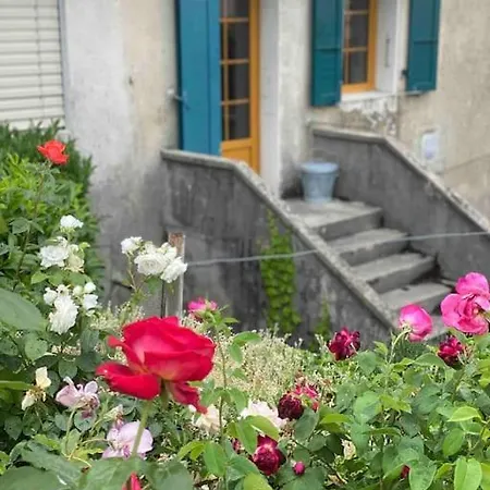 Charming Vinyard House - Geneva *