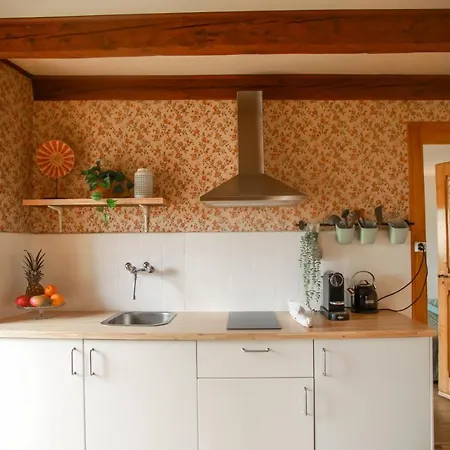 Charming Vinyard House - Geneva *