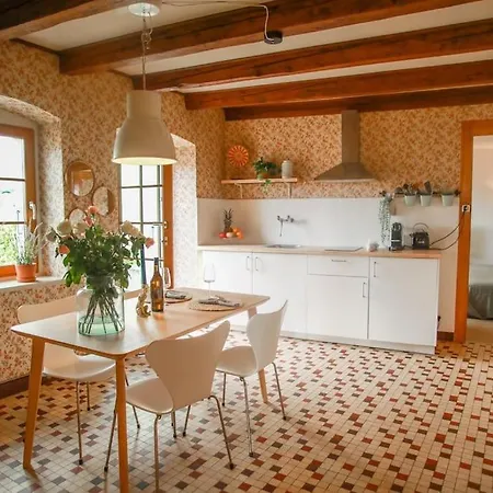 Charming Vinyard House - Geneva Mont-sur-Rolle