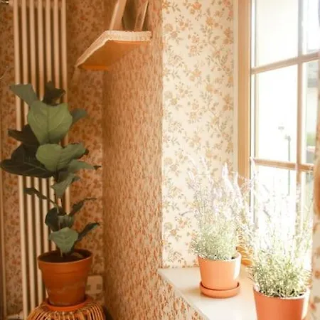 Charming Vinyard House - Geneva