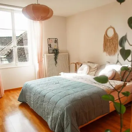 Charming Vinyard House - Geneva