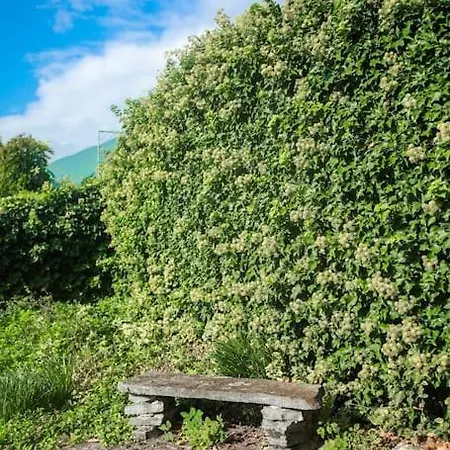 Charming Vinyard House - Geneva * Mont-sur-Rolle
