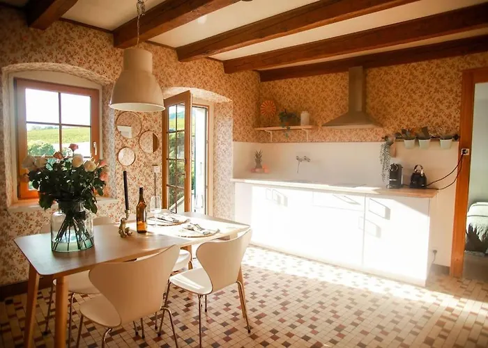 Charming Vinyard House - Geneva Dom wakacyjny Mont-sur-Rolle