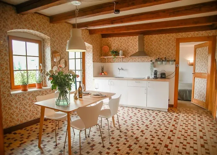 Charming Vinyard House - Geneva Mont-sur-Rolle