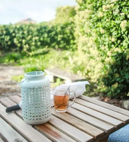 Charming Vinyard House - Geneva Vakantiehuis Mont-sur-Rolle