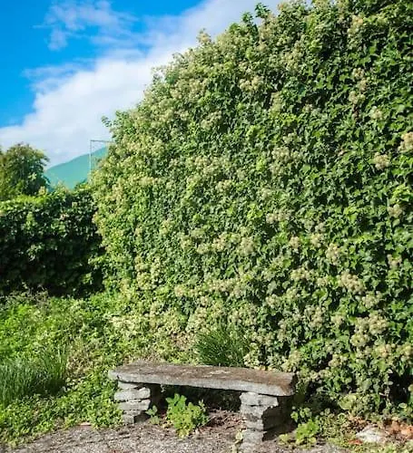 Charming Vinyard House - Geneva * Mont-sur-Rolle