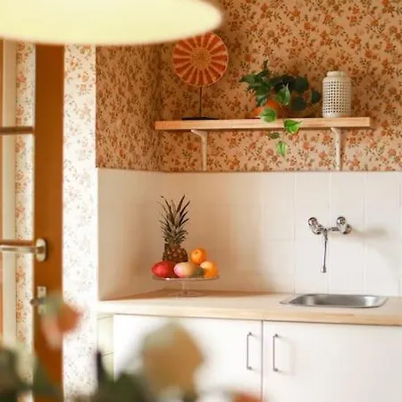 Charming Vinyard House - Geneva *