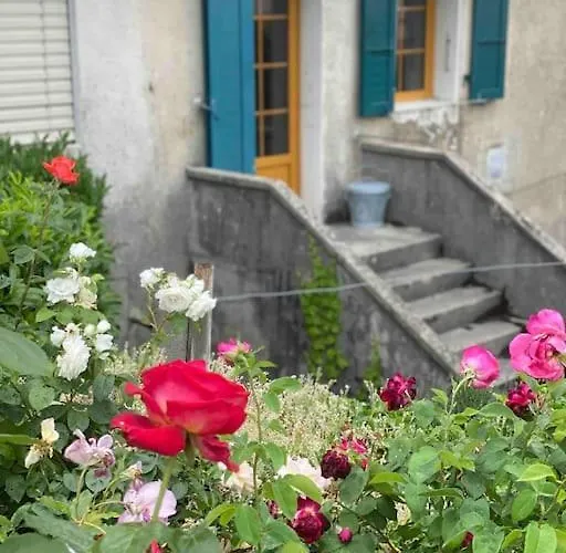 Charming Vinyard House - Geneva *